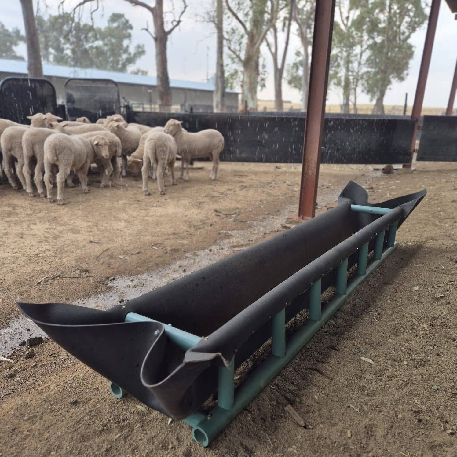 Livestock feed through