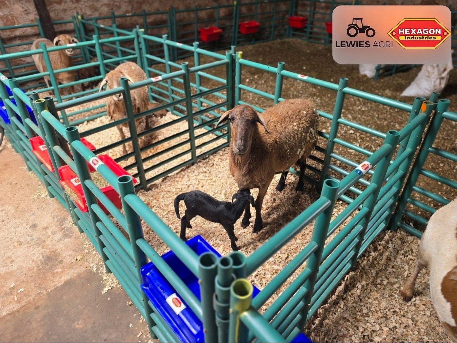 Plastic lamb and goat panels